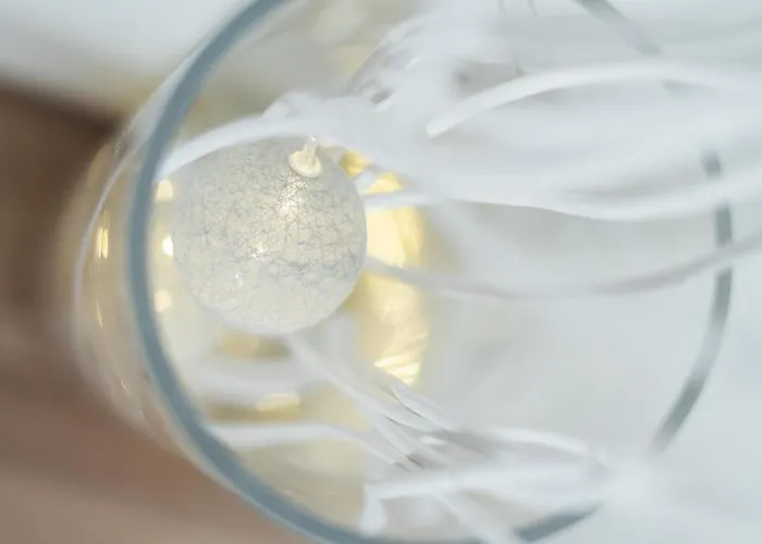 Ehha * 비오그라드나모루