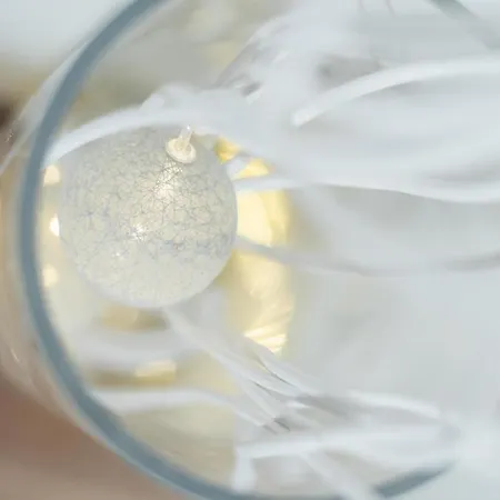 Ehha * Biograd Na Moru